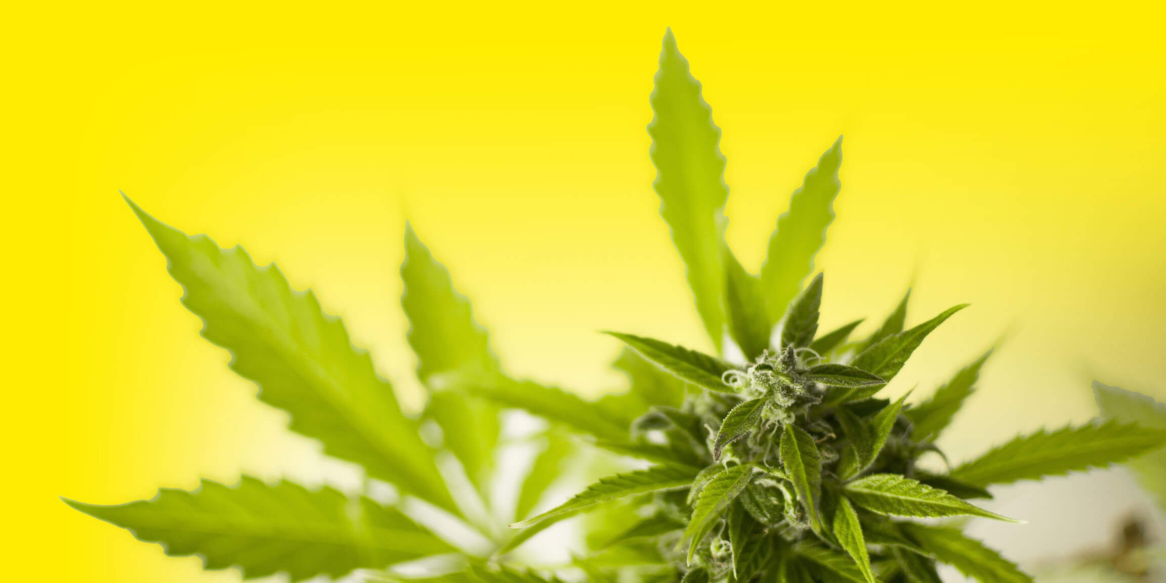 Jugendliche und Drogen