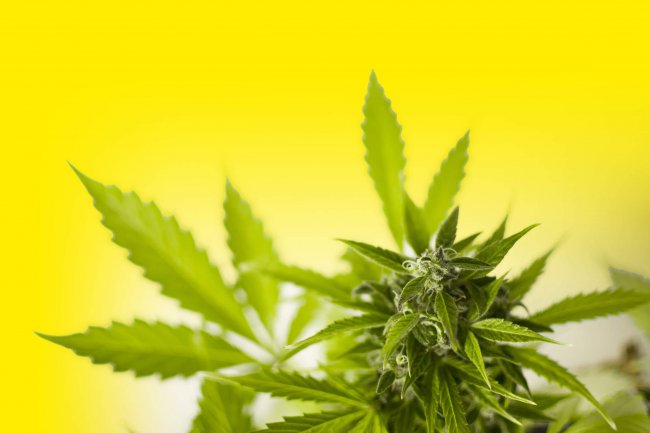 Jugendliche und Drogen